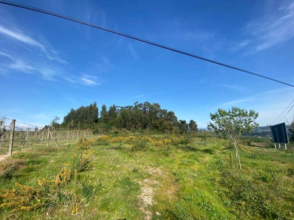 Terra a Pedreira, Porto - foto 5