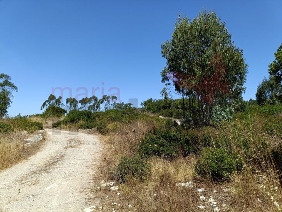 Helårsgrund i Lourinha, Lisbon - foto 3