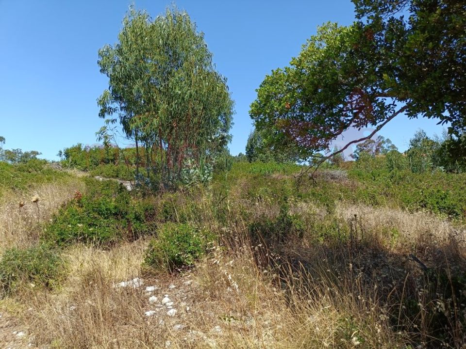 Helårsgrund i Lourinha, Lisbon - foto 4