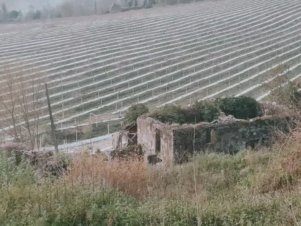 Herregård i Felgueiras, Porto - bilde 2