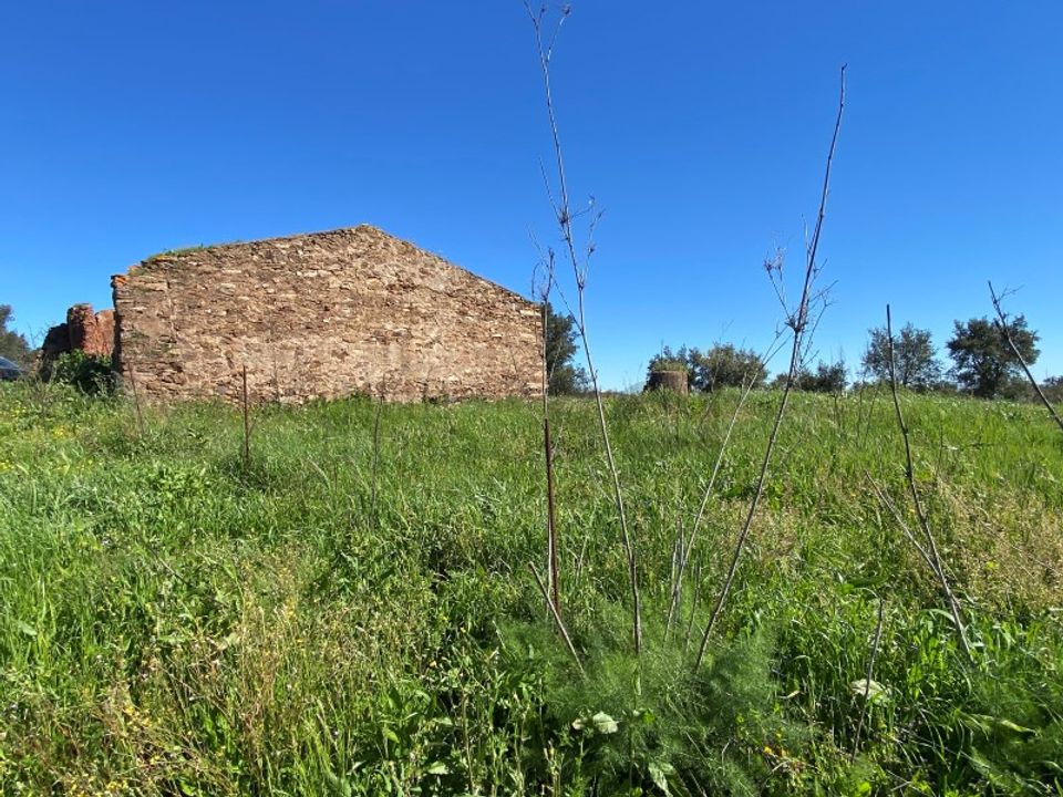 Farm i Vila Verde de Ficalho, Beja - foto 1
