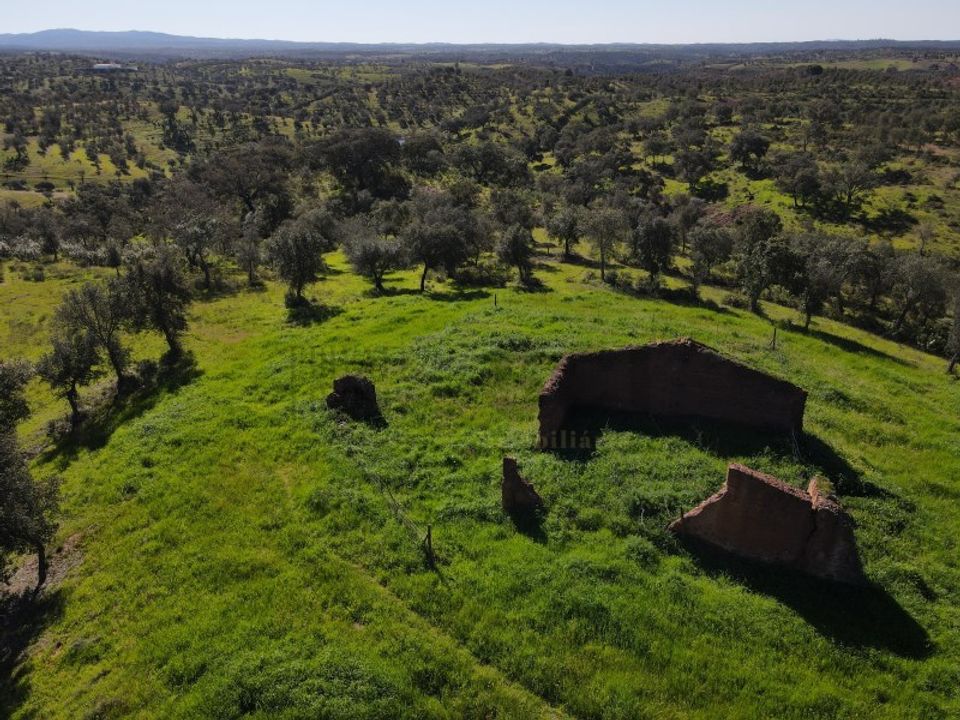 Farm i Vila Verde de Ficalho, Beja - foto 2