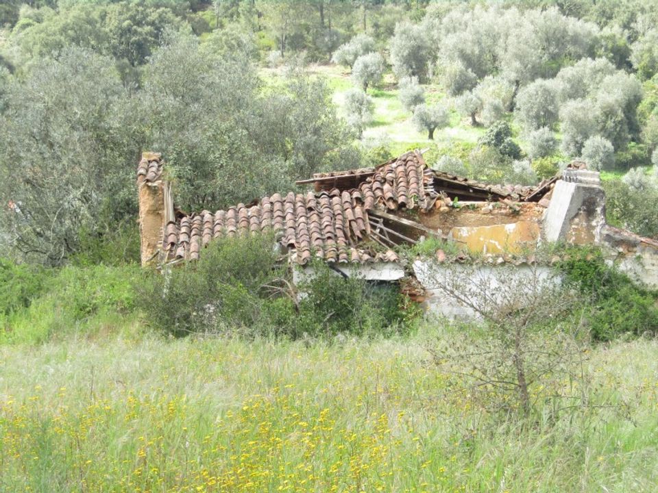 Granja a Abrantes, Santarem - foto 1