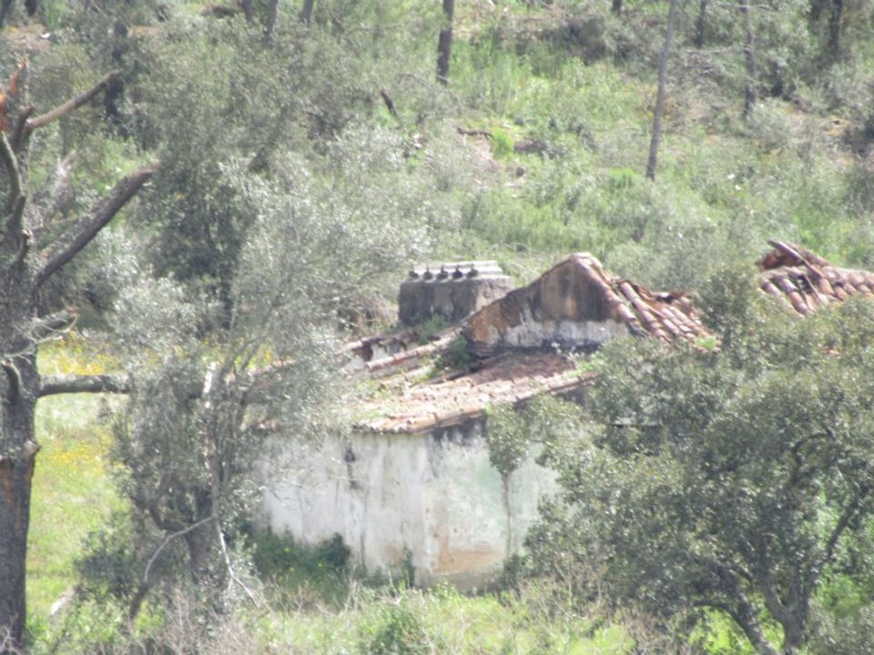 Granja a Abrantes, Santarem - foto 2