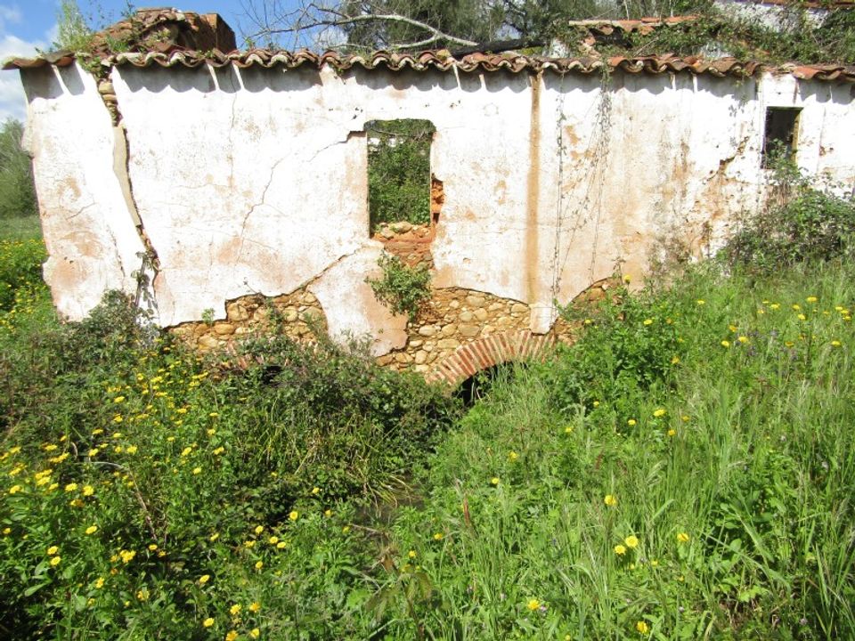 Granja a Abrantes, Santarem - foto 3