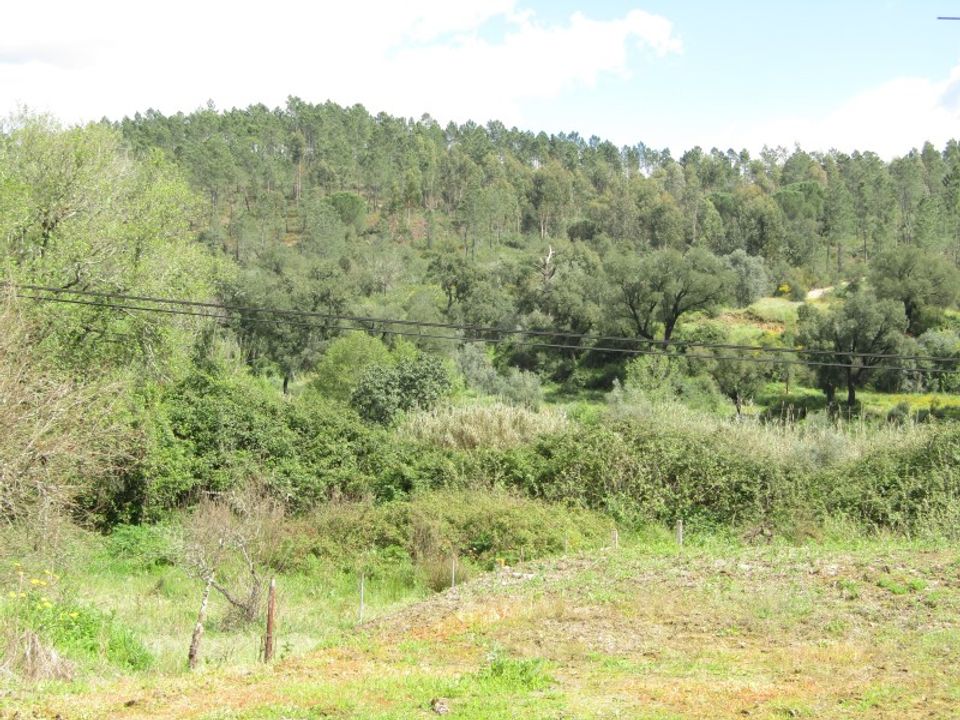 Granja a Abrantes, Santarem - foto 4