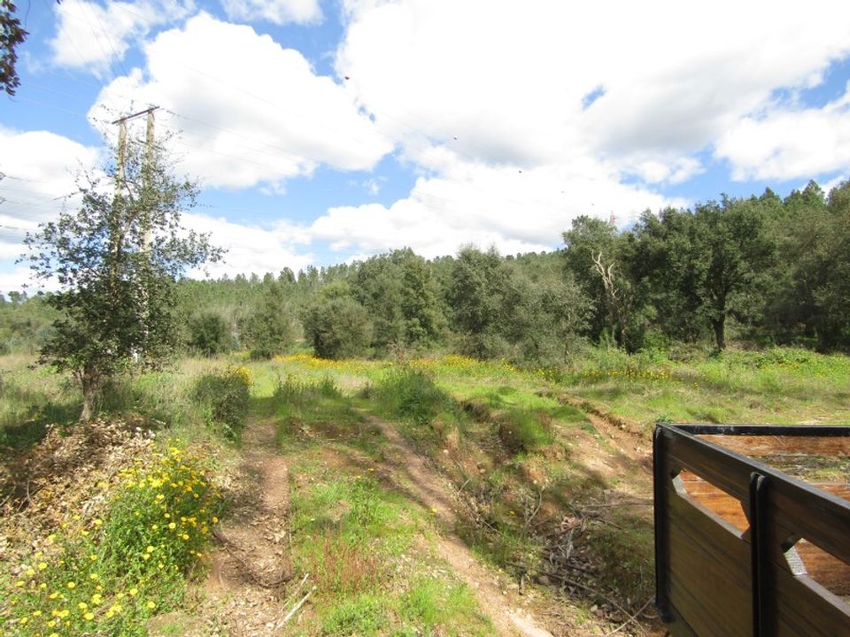 Granja a Abrantes, Santarem - foto 5