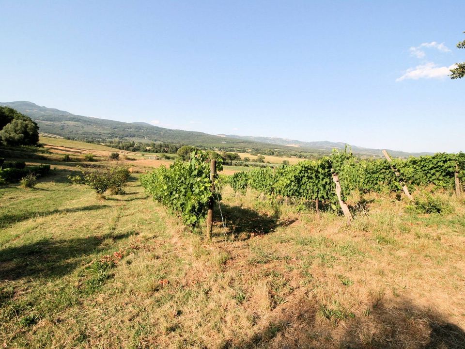 Landejendom i Roccastrada, Grosseto - foto 4