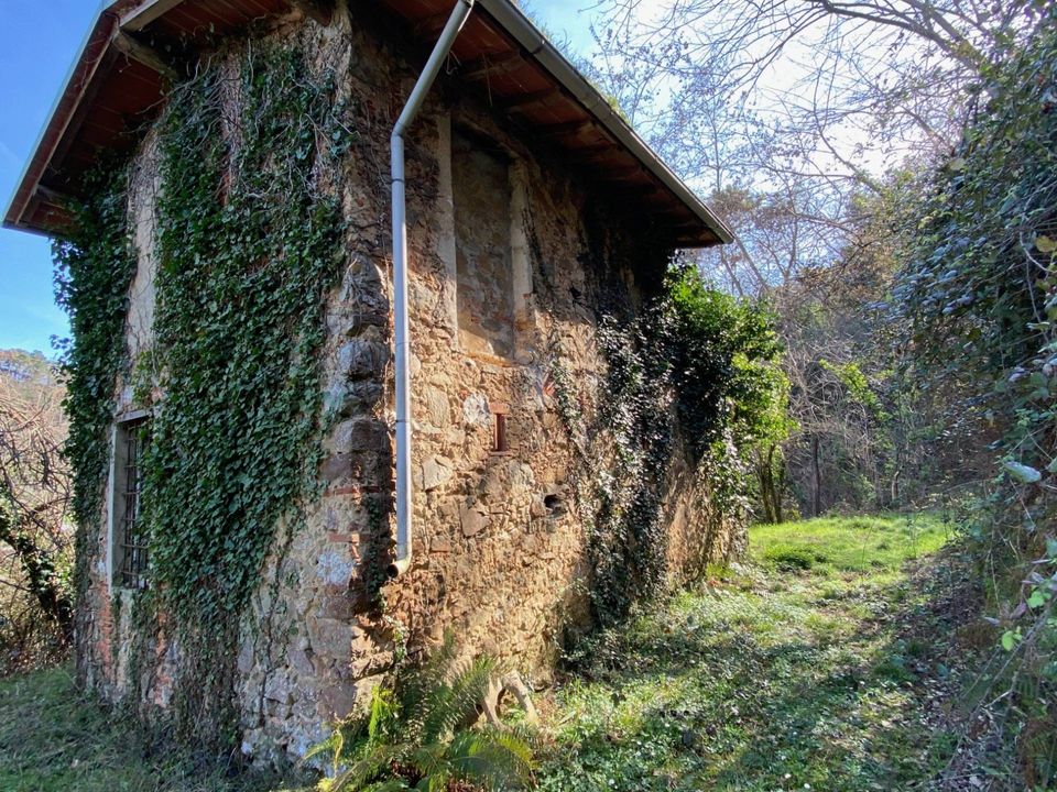 Villa i Camaiore, Lucca - foto 4