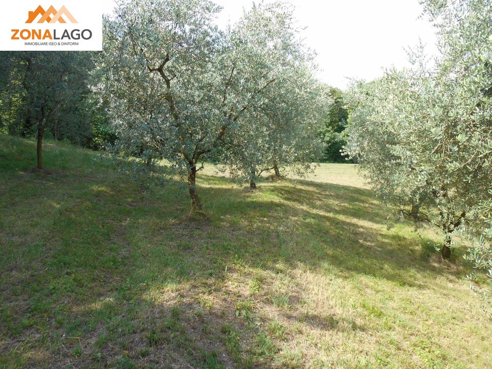 Helårsgrund i Sulzano, Brescia - foto 4