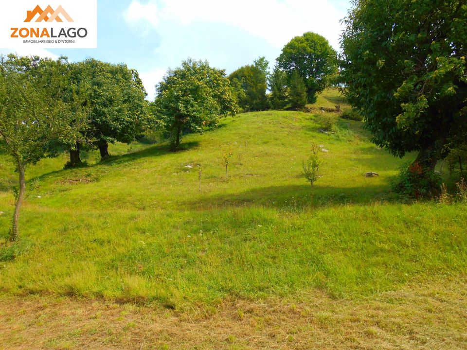 Helårsgrund i Sulzano, Brescia - foto 4