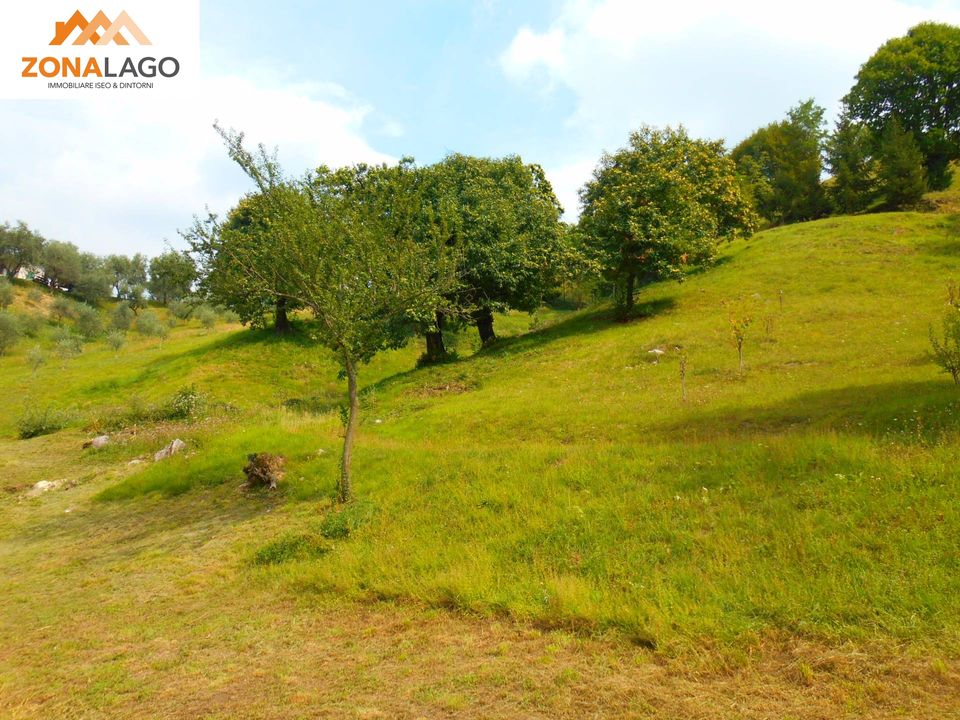 Helårsgrund i Sulzano, Brescia - foto 5
