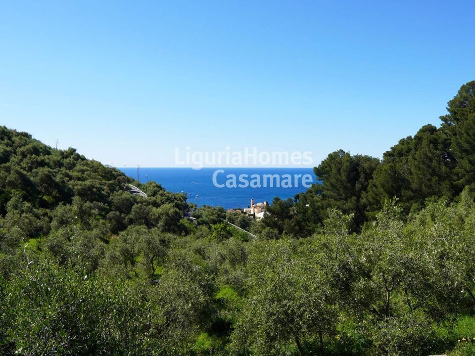 Villa in Cervo, Imperia - photo 5
