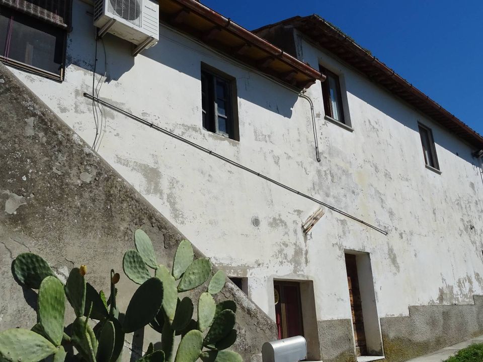 Farm i Montespertoli, Florence - foto 1