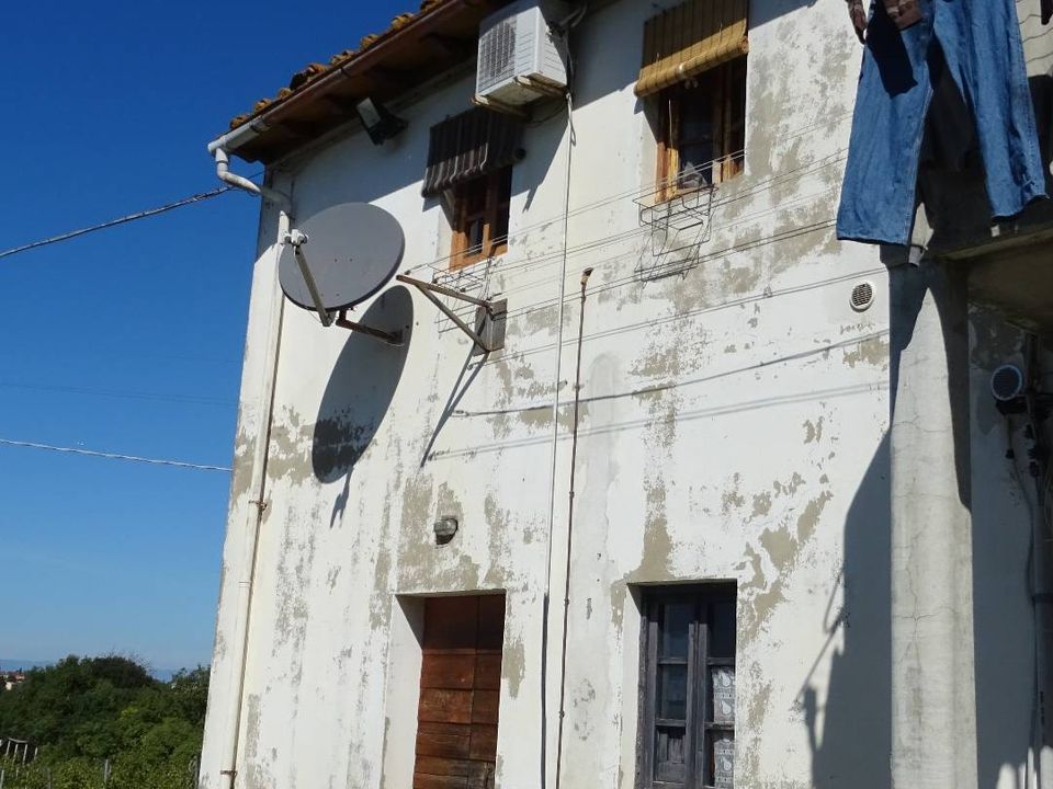 Farm i Montespertoli, Florence - foto 3