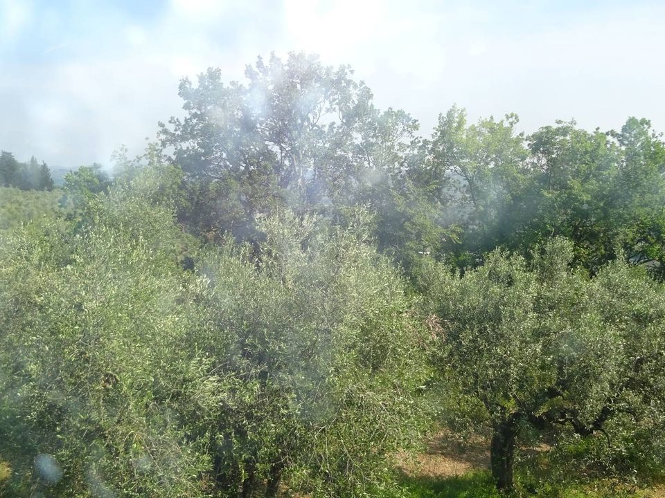 Landejendom i San Casciano in Val di Pesa, Florence - foto 5