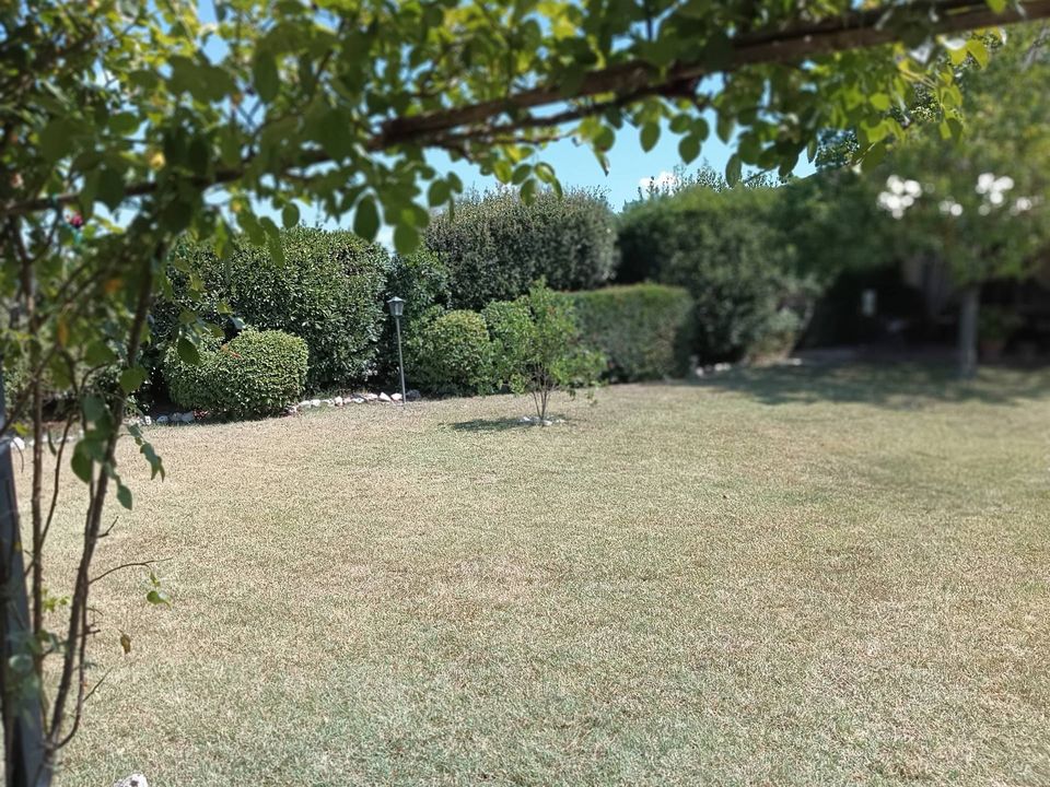 Dom wiejski: Castelfiorentino, Florence – zdjęcie 5