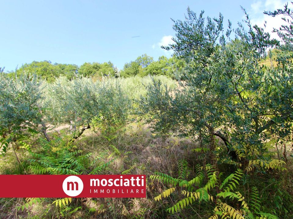 Helårsgrund i Matelica, Macerata - foto 5