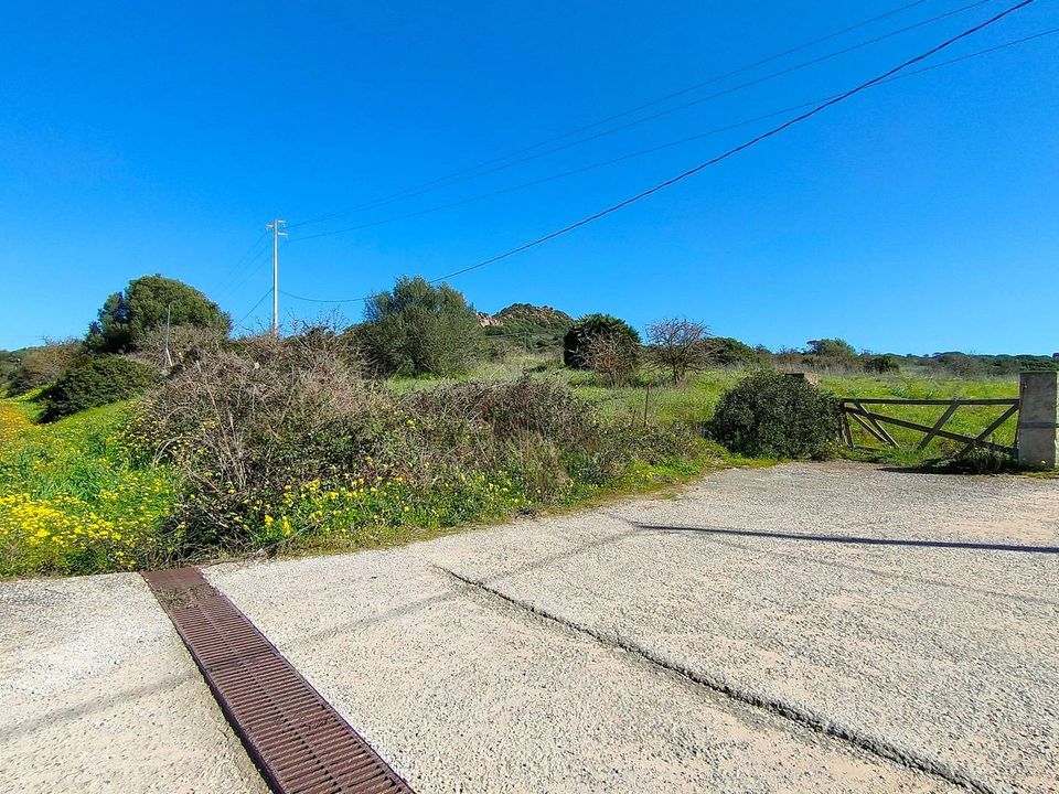 Land in Alghero, Sassari - photo 2