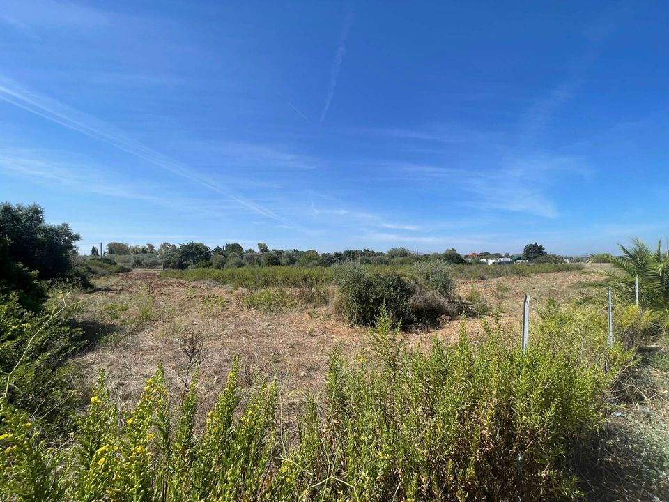 Helårsgrund i Sassari, Sassari - foto 4