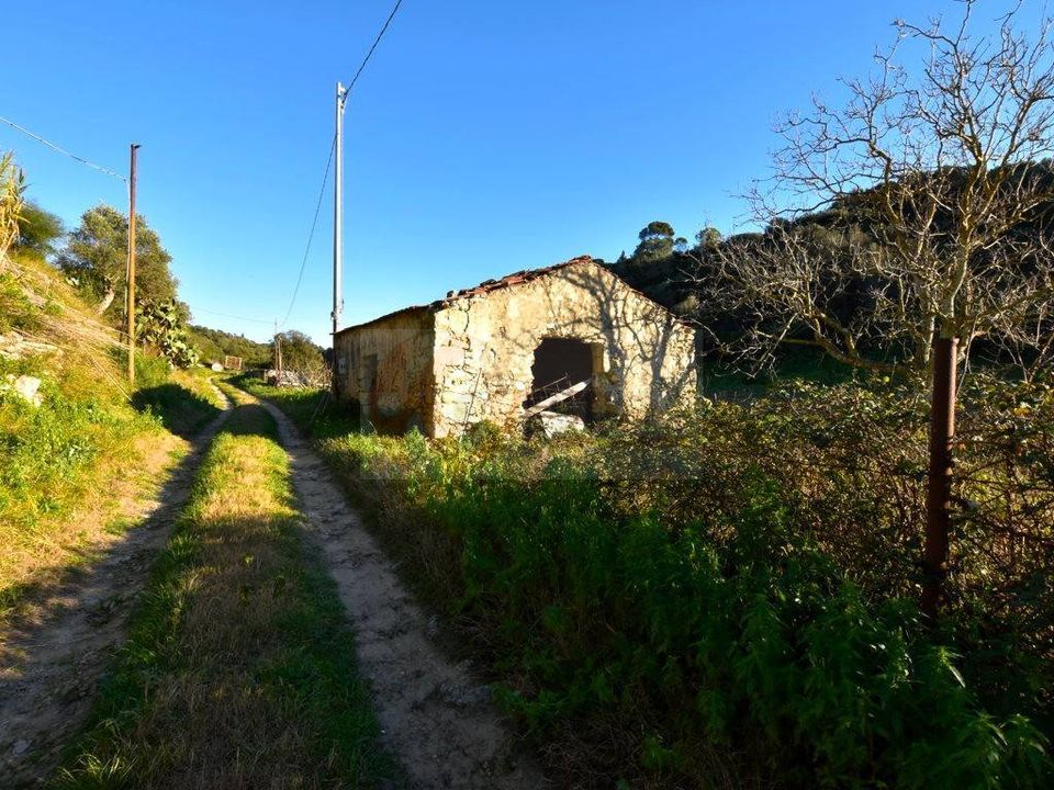 Helårsgrund i Sassari, Sassari - foto 1