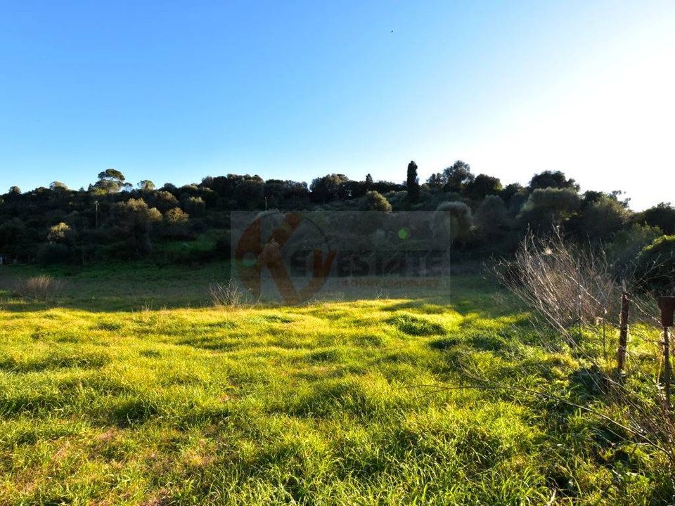Helårsgrund i Sassari, Sassari - foto 2