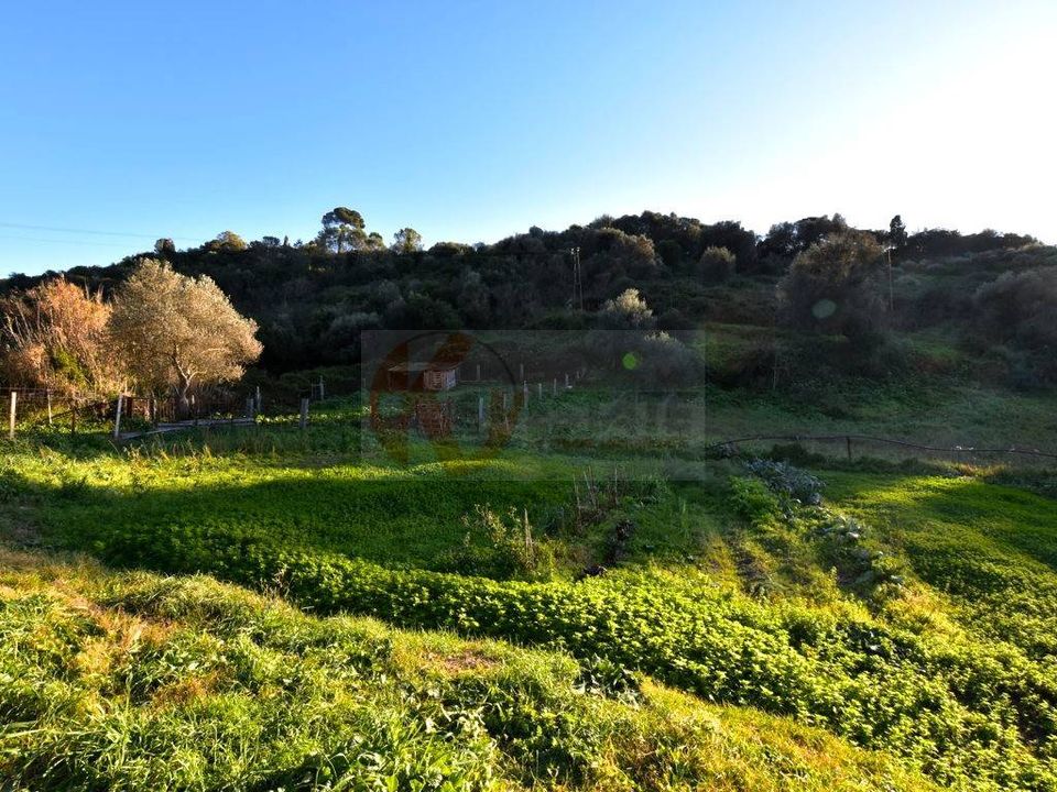 Helårsgrund i Sassari, Sassari - foto 4