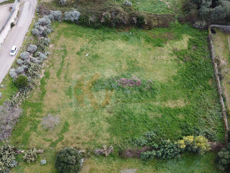 Helårsgrund i Piaghe/Ploaghe, Sassari - foto 3