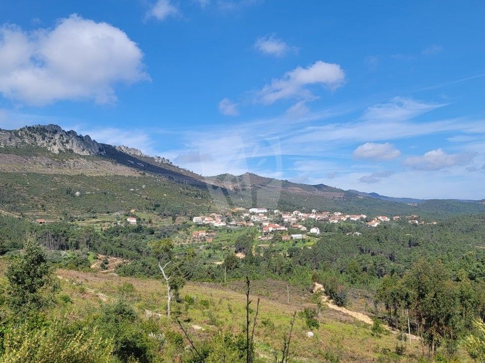 Ruin i Oleiros, Castelo Branco - bilde 2