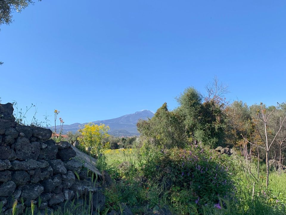 Erhvervsejendom i Tremestieri Etneo, Catania - foto 2