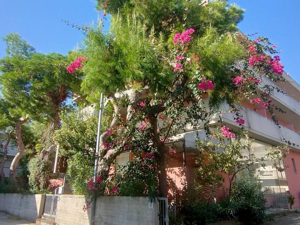 Erhvervsejendom i Tortoreto, Teramo - foto 3
