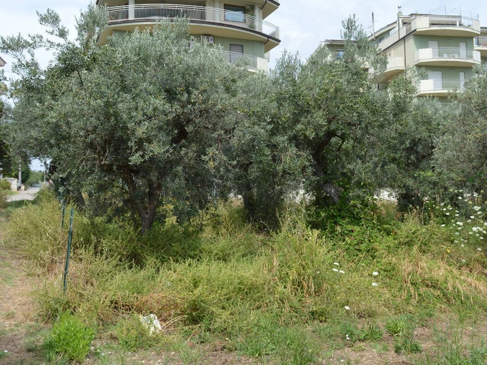 Helårsgrund i Vasto, Chieti - foto 3
