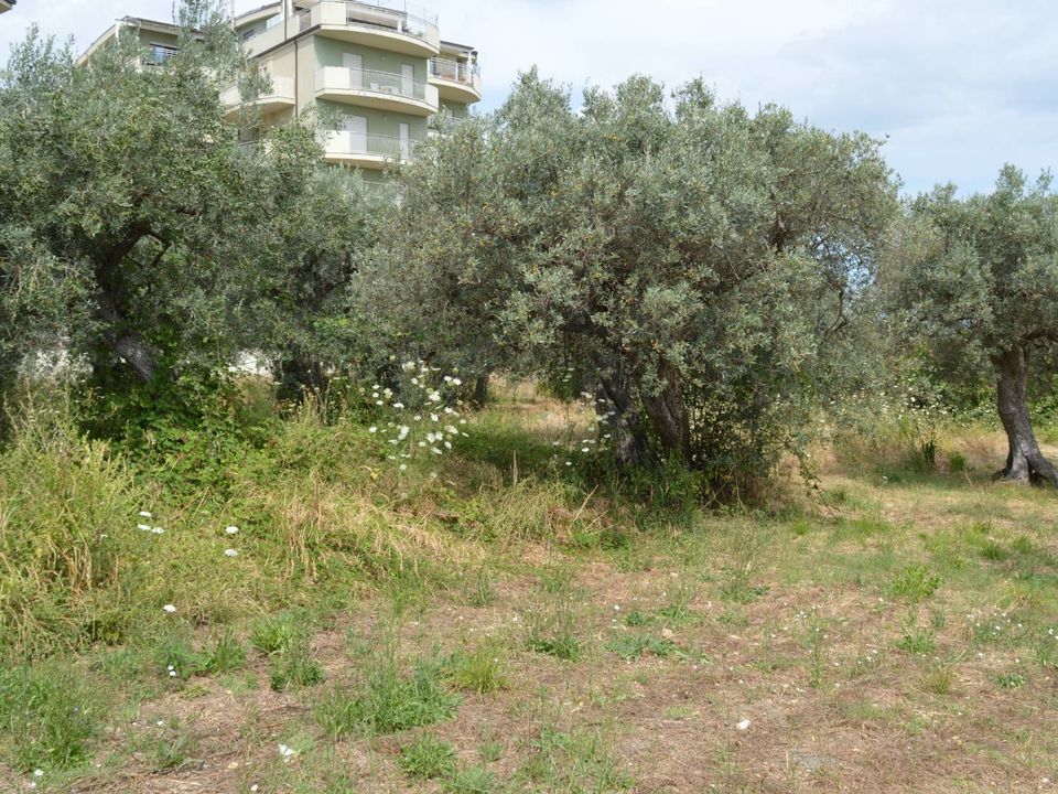 Helårsgrund i Vasto, Chieti - foto 4