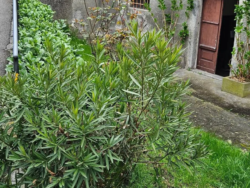 Duplex i Storo, Trento - foto 3
