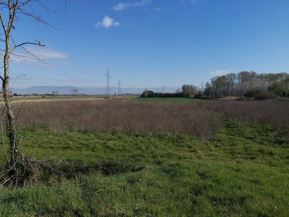 Helårsgrund i Bientina, Pisa - foto 5
