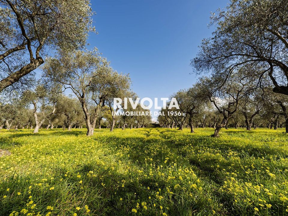 Land in Alghero, Sassari - photo 1