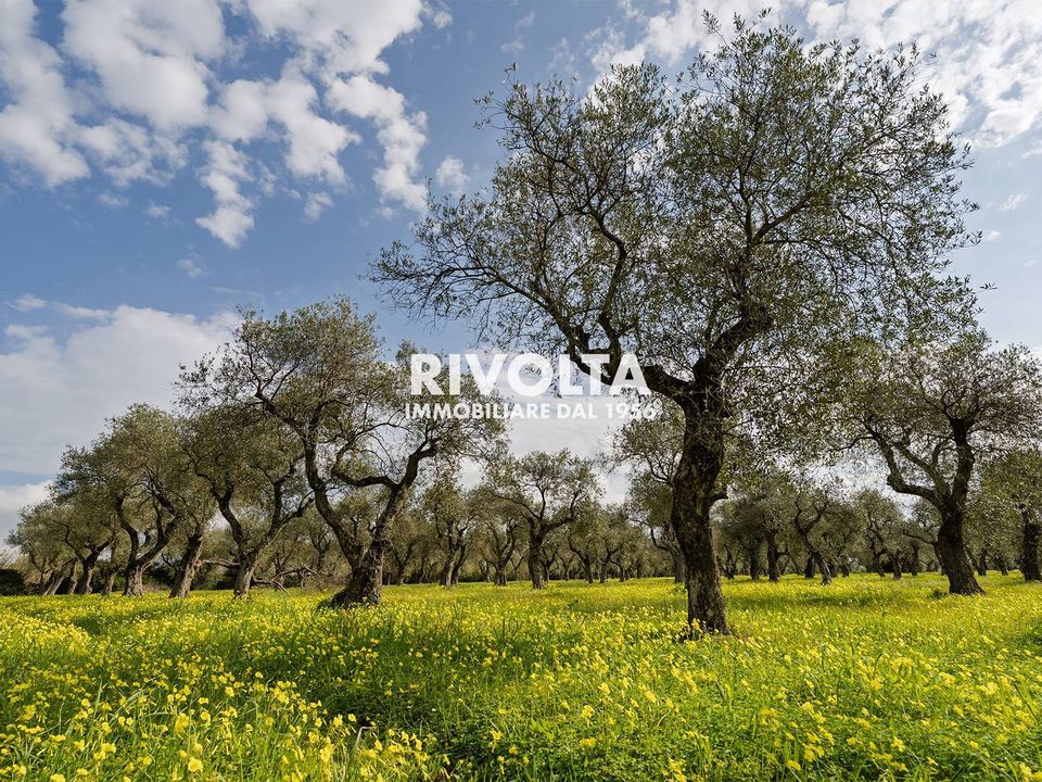 Land in Alghero, Sassari - photo 2