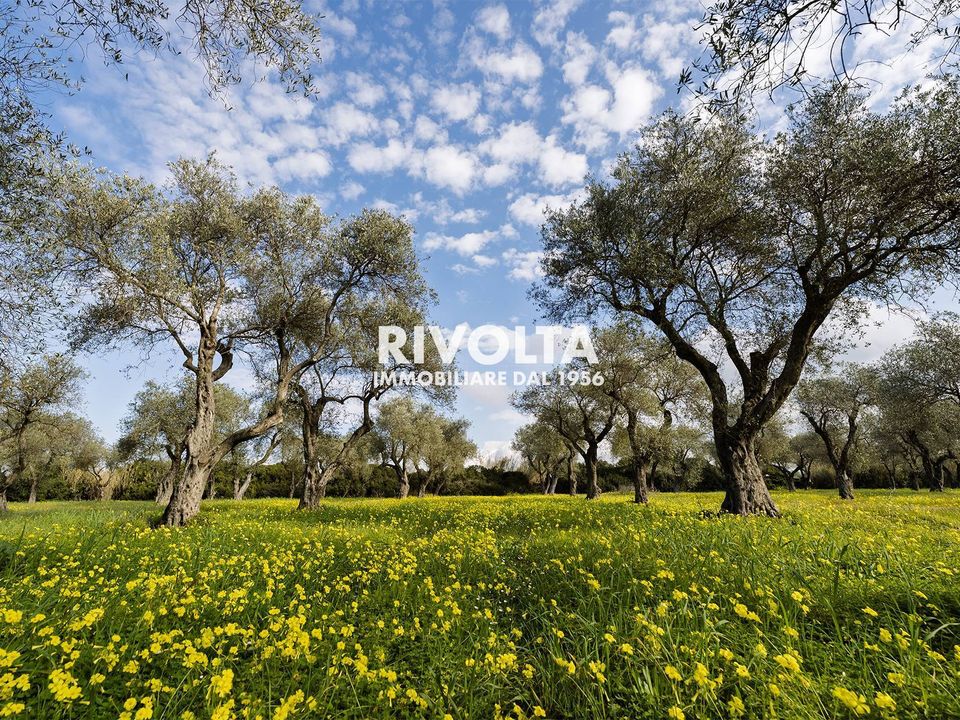 Land in Alghero, Sassari - photo 3