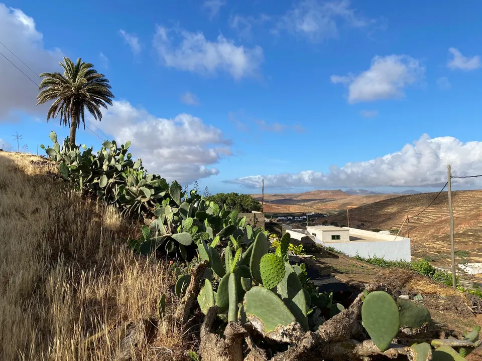 Helårsgrund i Teguise, Lanzarote - foto 1