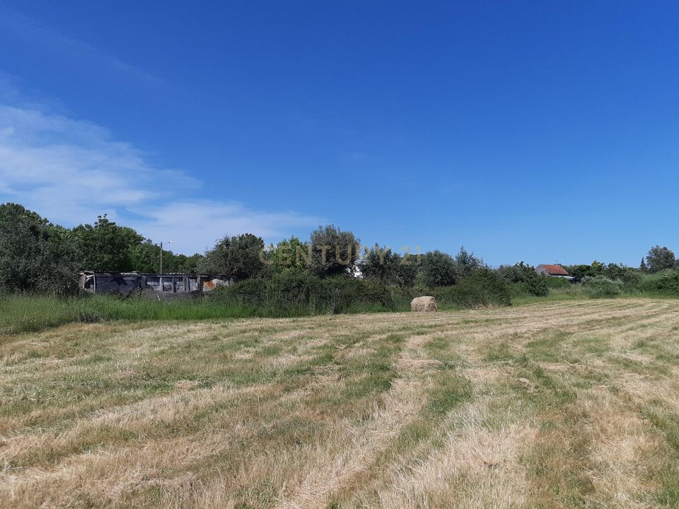 Działka: Nelas, Viseu – zdjęcie 1