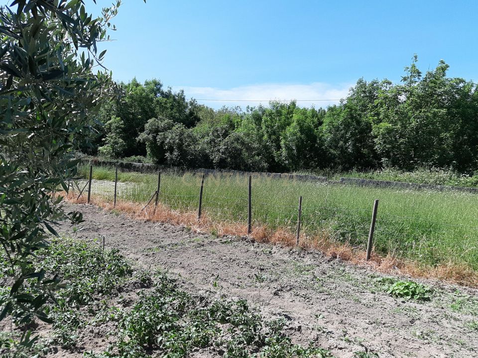 Działka: Nelas, Viseu – zdjęcie 3