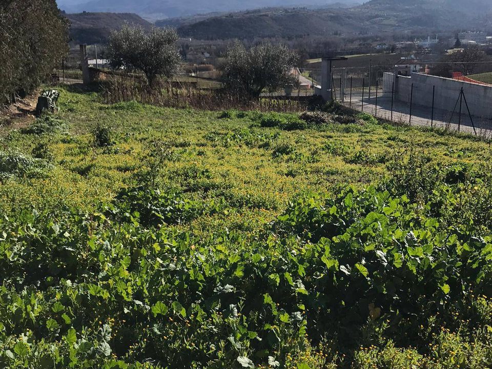 Terra em Rosciano, Pescara - foto 1