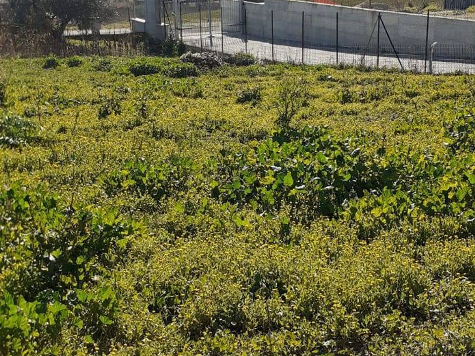 Terra em Rosciano, Pescara - foto 2