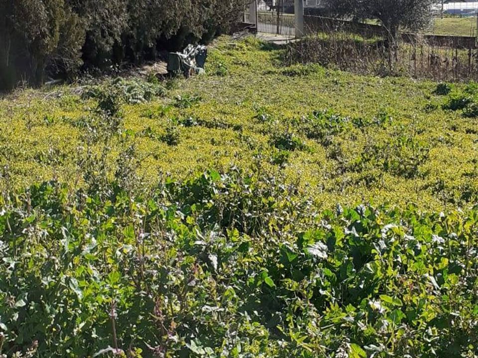 Terra em Rosciano, Pescara - foto 3