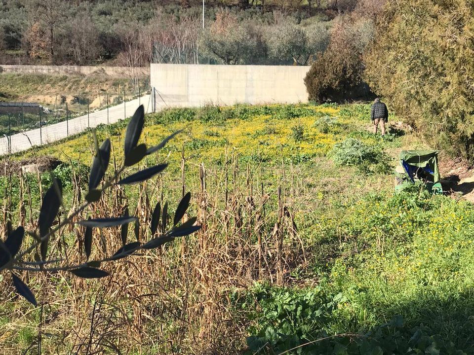 Terra em Rosciano, Pescara - foto 4