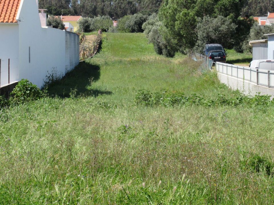 Helårsgrund i Torres Novas, Santarem - foto 1