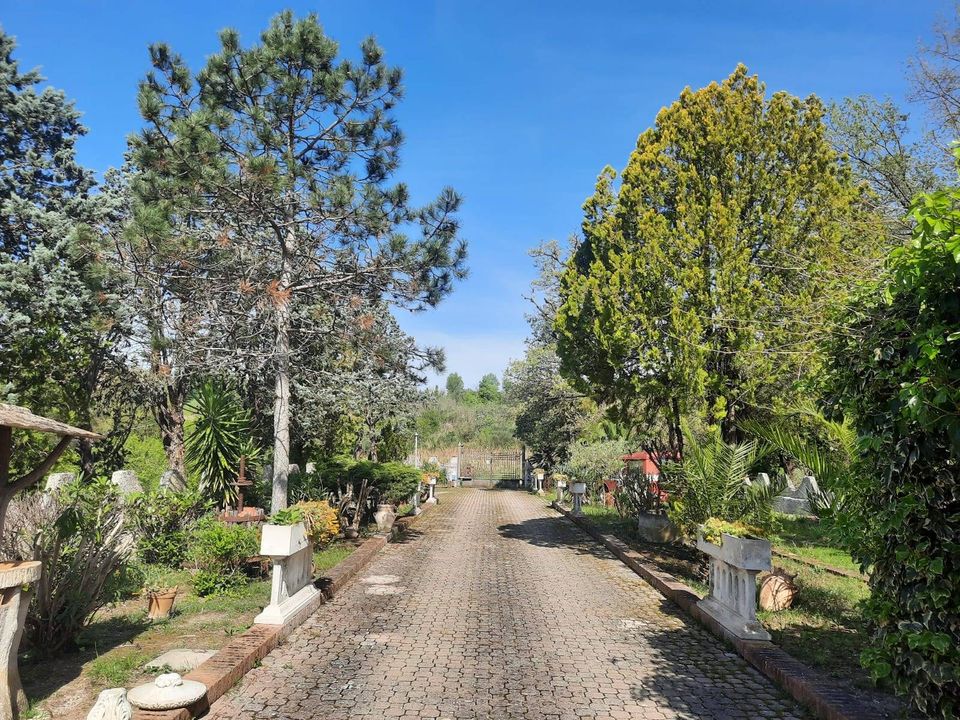 Villa i Orte, Viterbo - bilde 2