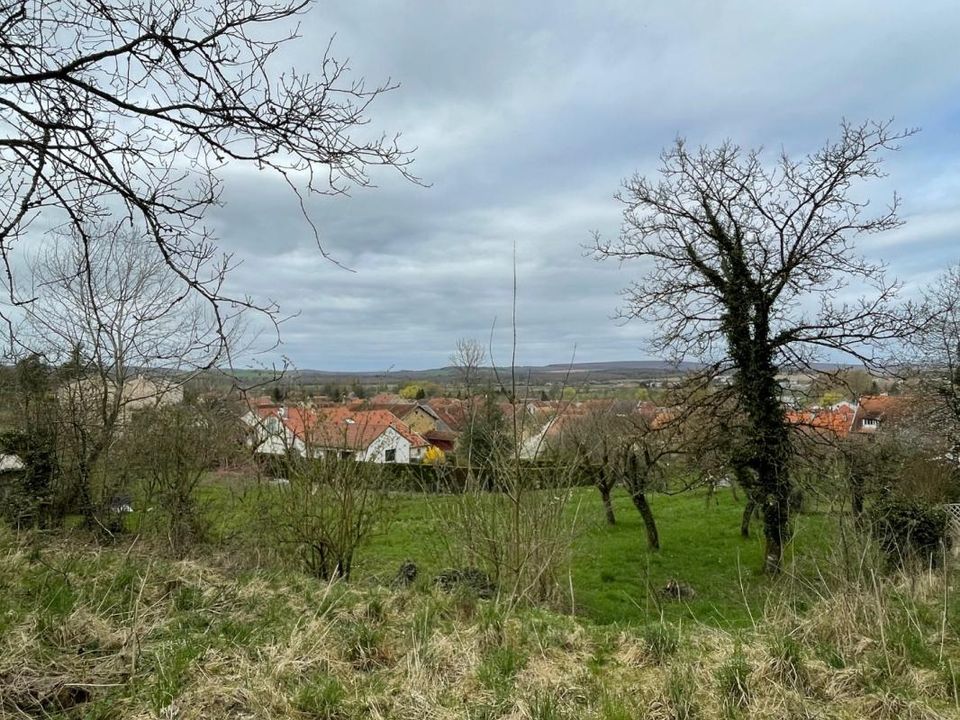 Helårsgrund i Jussey, Haute-Saone - foto 2