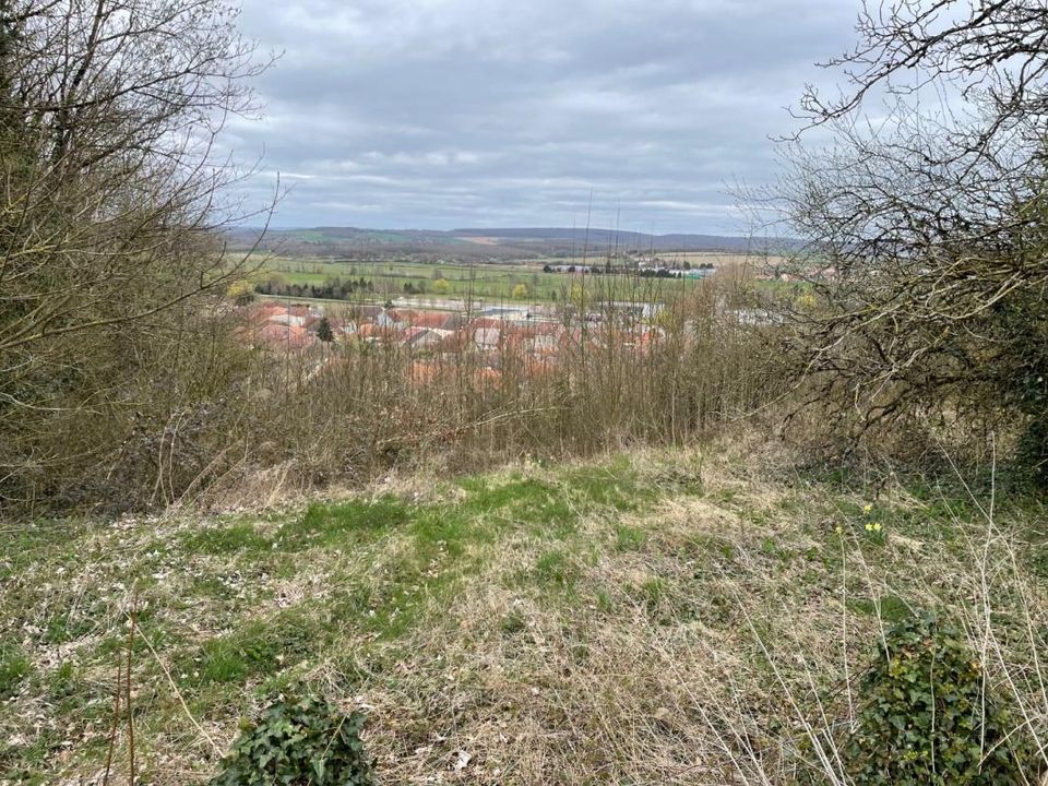Helårsgrund i Jussey, Haute-Saone - foto 5