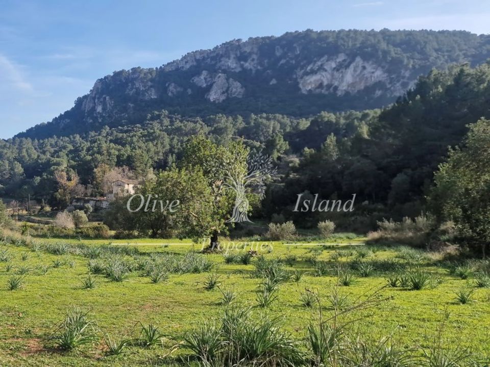 Villa i Esporles, Mallorca - foto 3